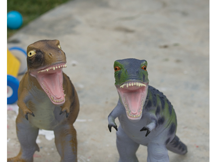 Dinosaur Series